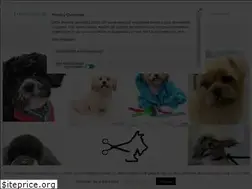 Sites similar to hondentrimsalonwarber.nl