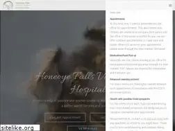 Sites similar to honeoyefallsvet.com