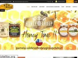 Sites similar to honeygroupchile.cl