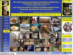 Sites similar to hongoscomestiblesymedicinales.com