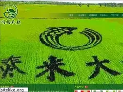 Sites similar to hongtengmiye.com