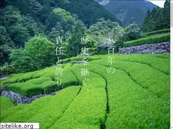 Sites similar to honyama.com