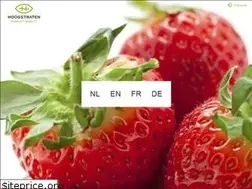 Sites similar to hoogstraten.eu