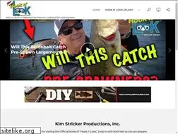 Sites similar to hooknlook.com