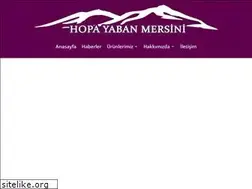 Sites similar to hopayabanmersini.com.tr