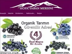 Sites similar to hopayabanmersini.com
