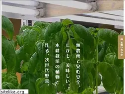 Sites similar to hope-nouen.com