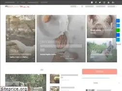 Sites similar to hopeforanimals.org
