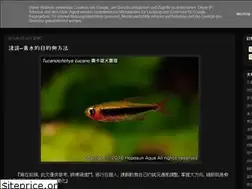 Sites similar to hopesun1205.blogspot.com