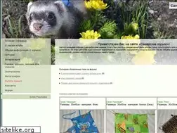 Sites similar to horek-samara.ru