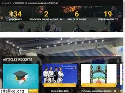 Sites similar to horizonkarateclub.fr