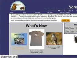 Sites similar to horizonwings.net