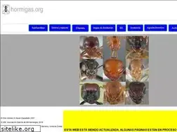 Sites similar to hormigas.org