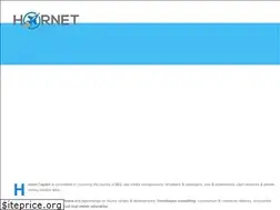 Sites similar to hornet.capital