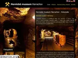 Sites similar to hornicke-muzeum.eu