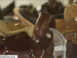 Sites similar to horse-a-rama.org