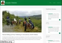 Sites similar to horse-riding-wales.co.uk