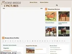 Sites similar to horsebreedspictures.com