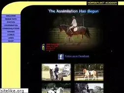 Sites similar to horsefleet.com