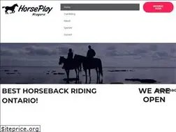 Sites similar to horseplayniagara.com