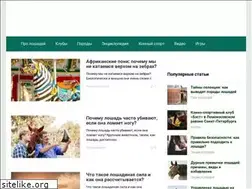 Sites similar to horseportal.ru