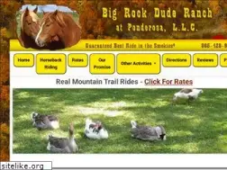 Sites similar to horseridingbigrock.com