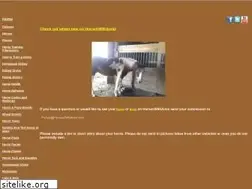 Sites similar to horseswithamie.com