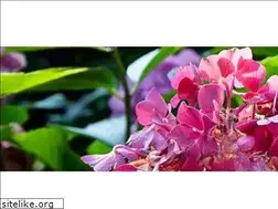 Sites similar to hortensiahof.com