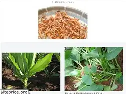 Sites similar to hoshi-yasai.com
