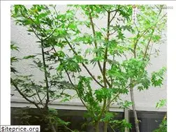 Sites similar to hosokawakensetsu.co.jp