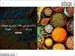 Sites similar to hosseinsadeghi.com