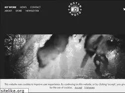 Sites similar to hostynphoto.com