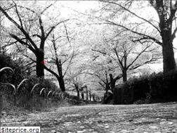 Sites similar to hotdoglab.jp