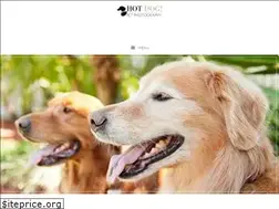 Sites similar to hotdogpetphotography.com