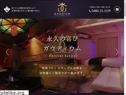 Sites similar to hotel-gaudium.com
