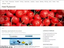 Sites similar to hotel-rydzewski.pl