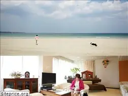 Sites similar to hotel-shunka.jp
