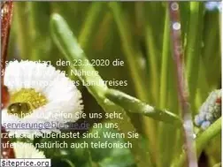 Sites similar to hotel-zur-bleiche.de