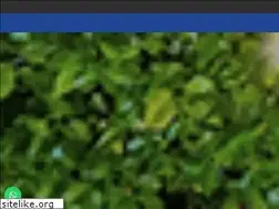 Sites similar to hotelcasadelparque.com