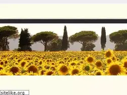 Sites similar to hotelceraunavolta.com