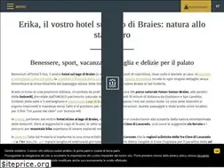 Sites similar to hotelerika.net