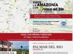 Sites similar to hotelespalmardelrio.com