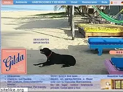 Sites similar to hotelgilda.com