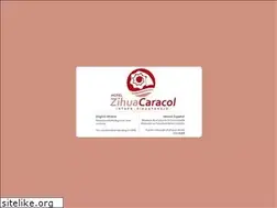 Sites similar to hotelzihuacaracol.com
