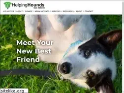 Sites similar to houndsrescue.com