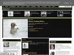 Sites similar to hourpost.blogspot.com