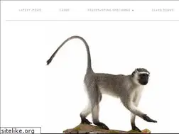 Sites similar to houseoftaxidermy.com