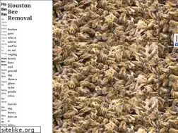 Sites similar to houstonbeeremoval.com