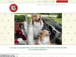 Sites similar to houstoncollierescue.org