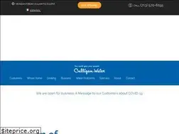 Sites similar to houstonculligan.com